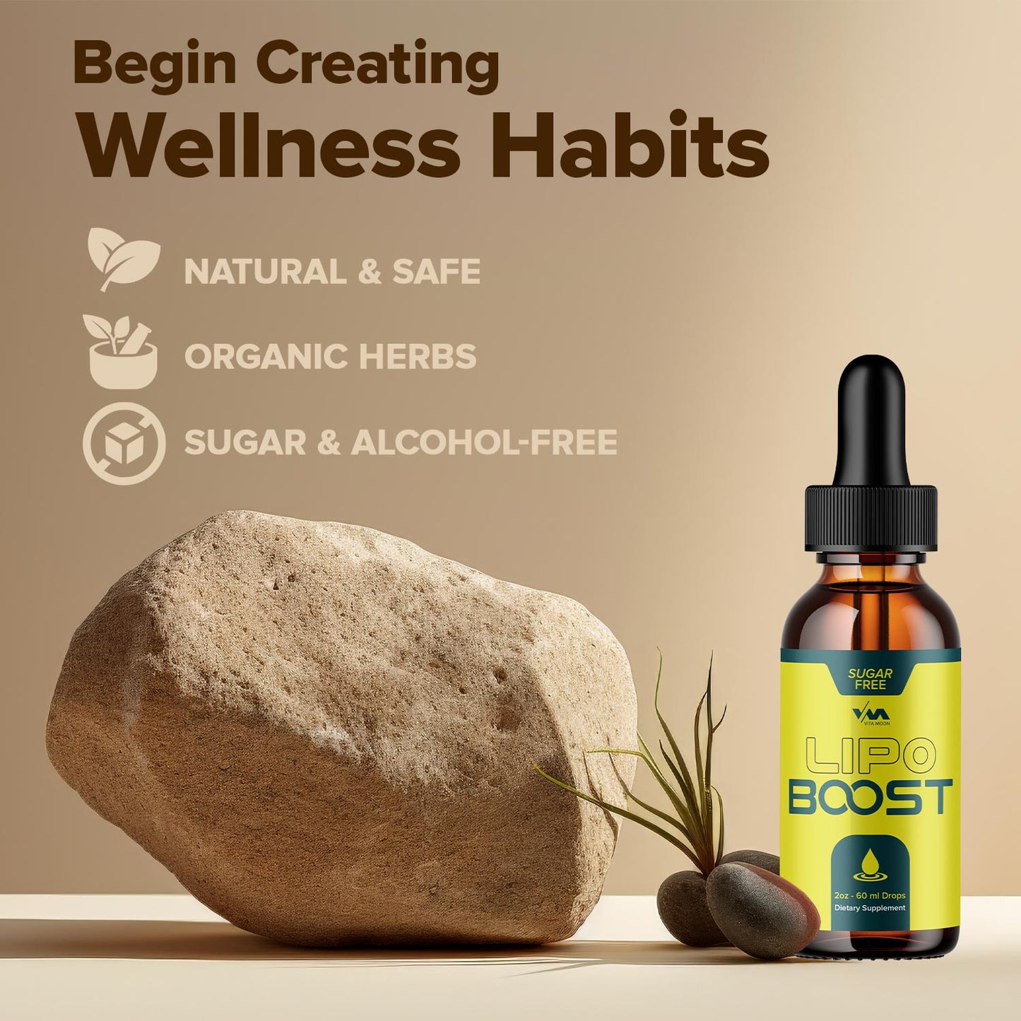 Lipo Boost