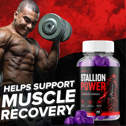 Stallion Power Gummies